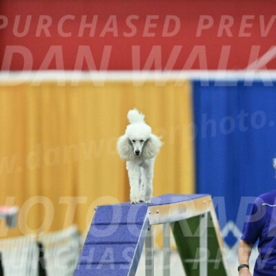 MAS-EX-STD-16-Inch_6369