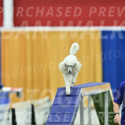 MAS-EX-STD-16-Inch_6375