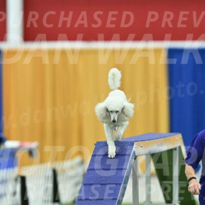 MAS-EX-STD-16-Inch_6376