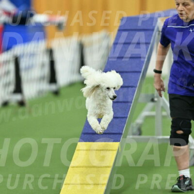 MAS-EX-STD-16-Inch_6386