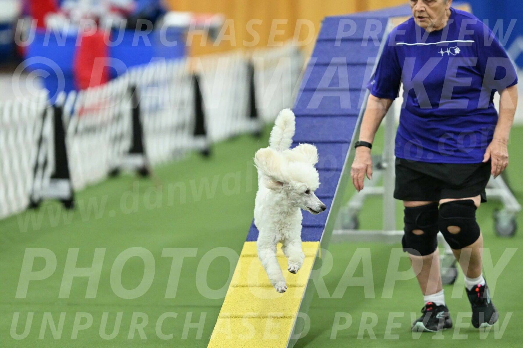 MAS-EX-STD-16-Inch_6388