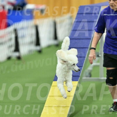 MAS-EX-STD-16-Inch_6388