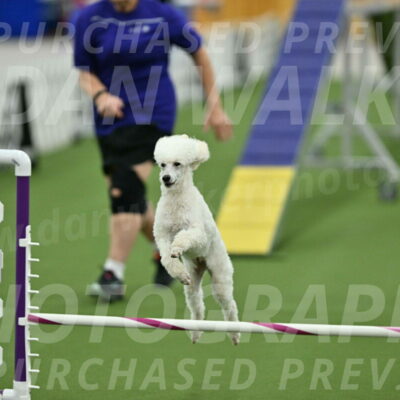 MAS-EX-STD-16-Inch_6392