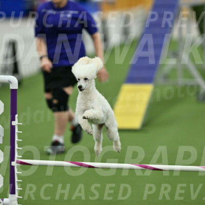 MAS-EX-STD-16-Inch_6393