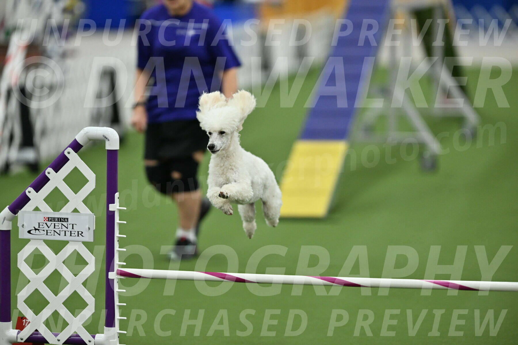 MAS-EX-STD-16-Inch_6394