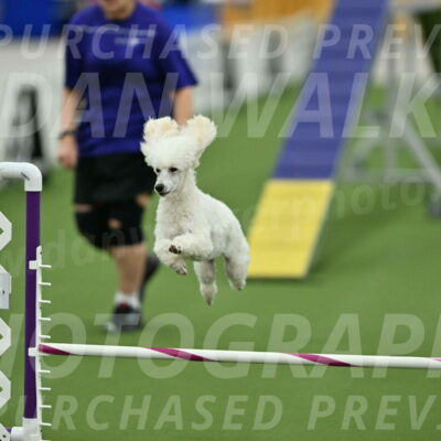 MAS-EX-STD-16-Inch_6394