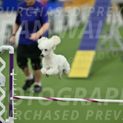 MAS-EX-STD-16-Inch_6395