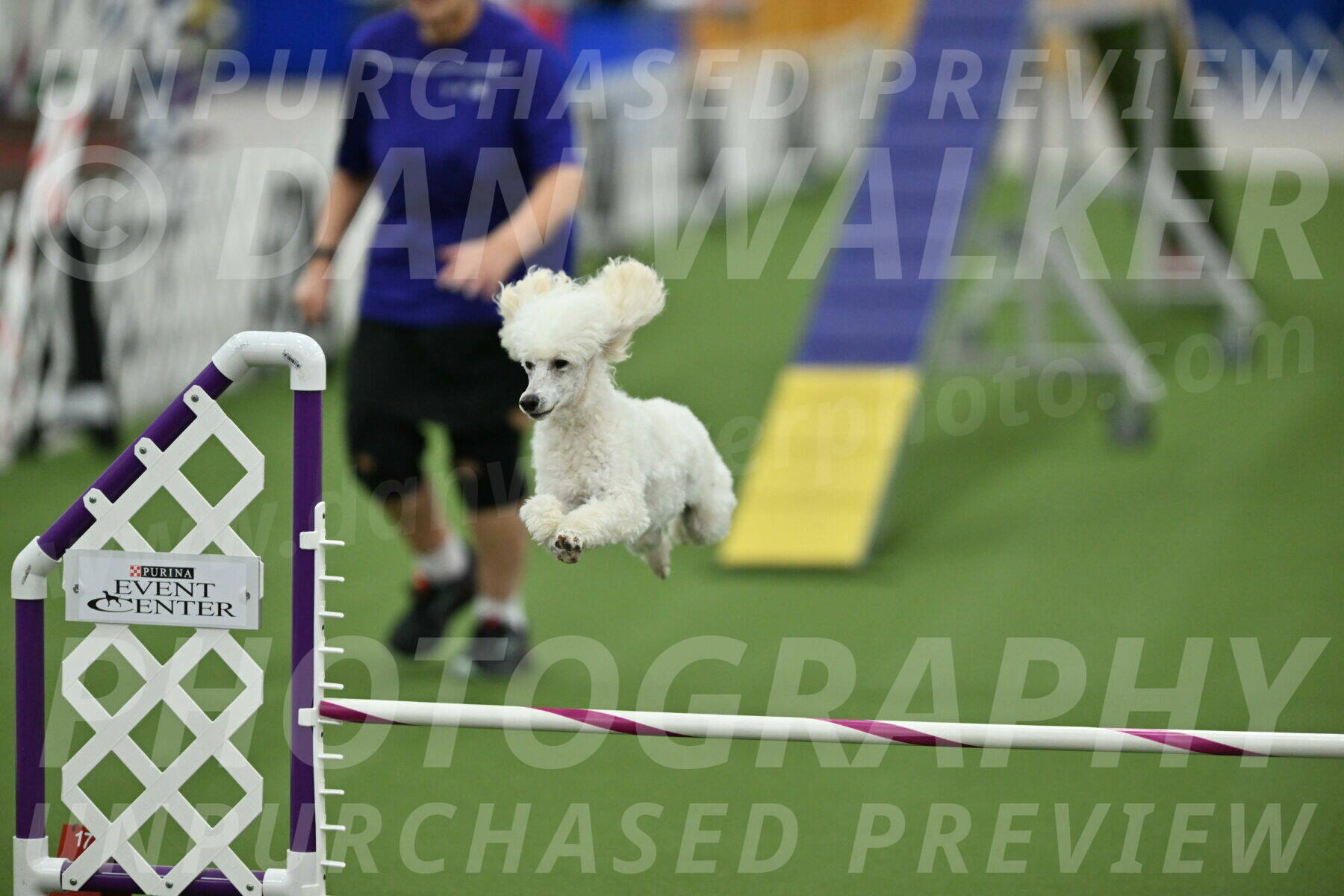 MAS-EX-STD-16-Inch_6395