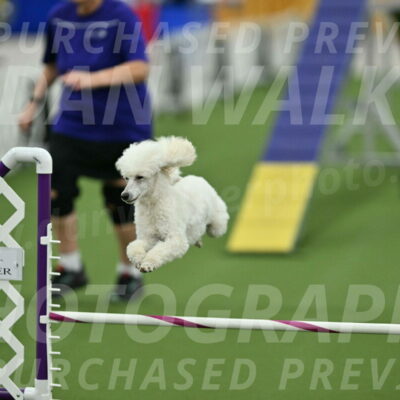 MAS-EX-STD-16-Inch_6396