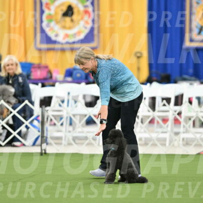 MAS-EX-STD-16-Inch_6400