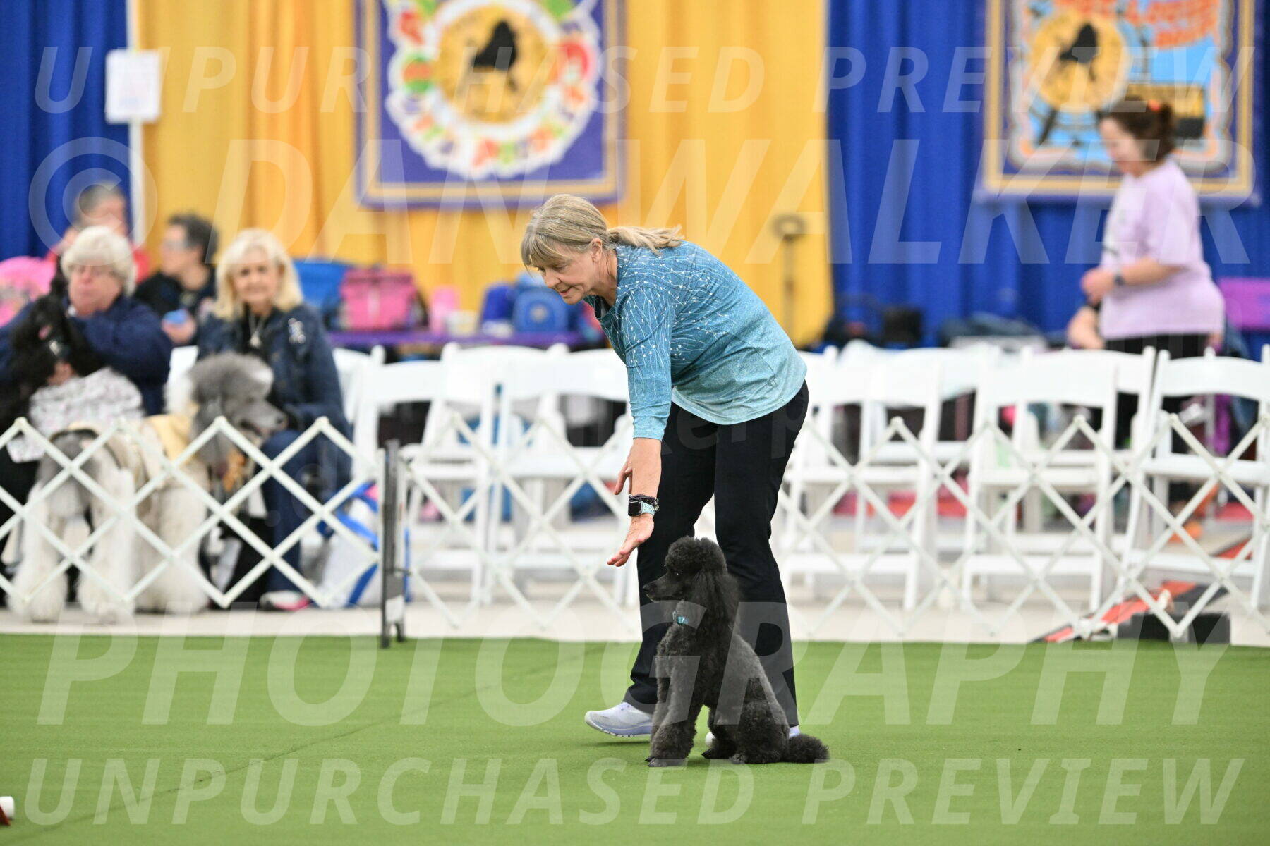 MAS-EX-STD-16-Inch_6400