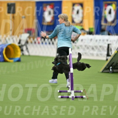 MAS-EX-STD-16-Inch_6408