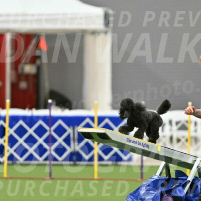 MAS-EX-STD-16-Inch_6415