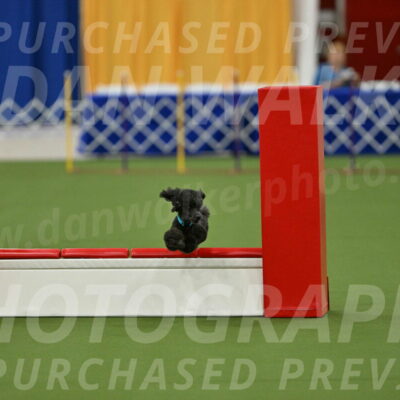 MAS-EX-STD-16-Inch_6421