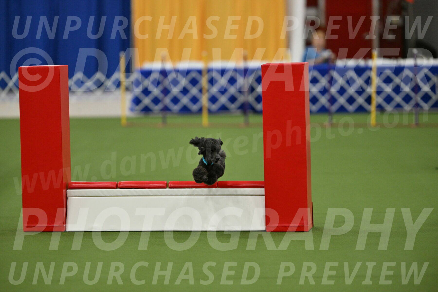 MAS-EX-STD-16-Inch_6421