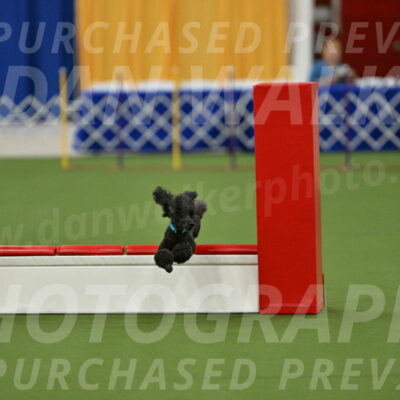 MAS-EX-STD-16-Inch_6422