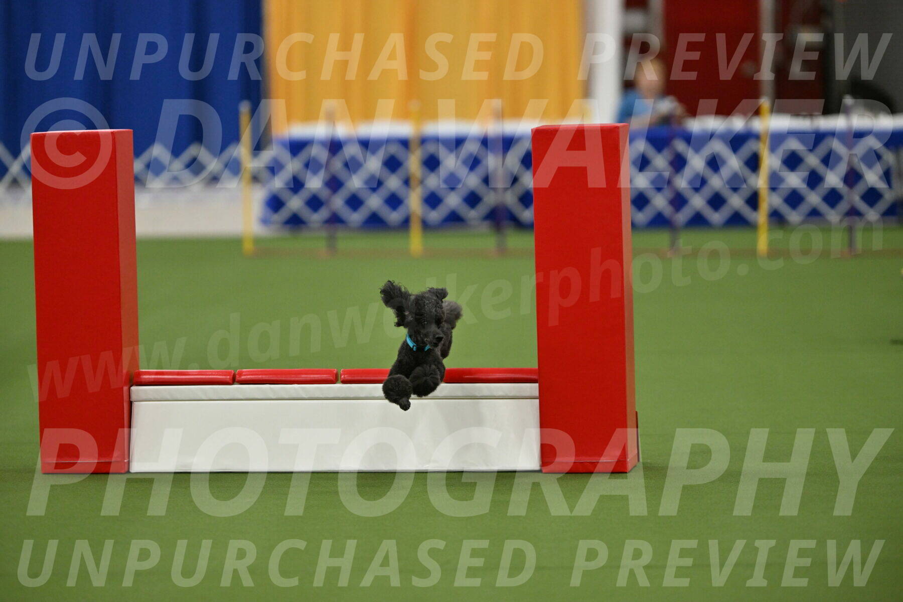 MAS-EX-STD-16-Inch_6422