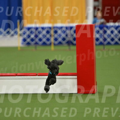 MAS-EX-STD-16-Inch_6423