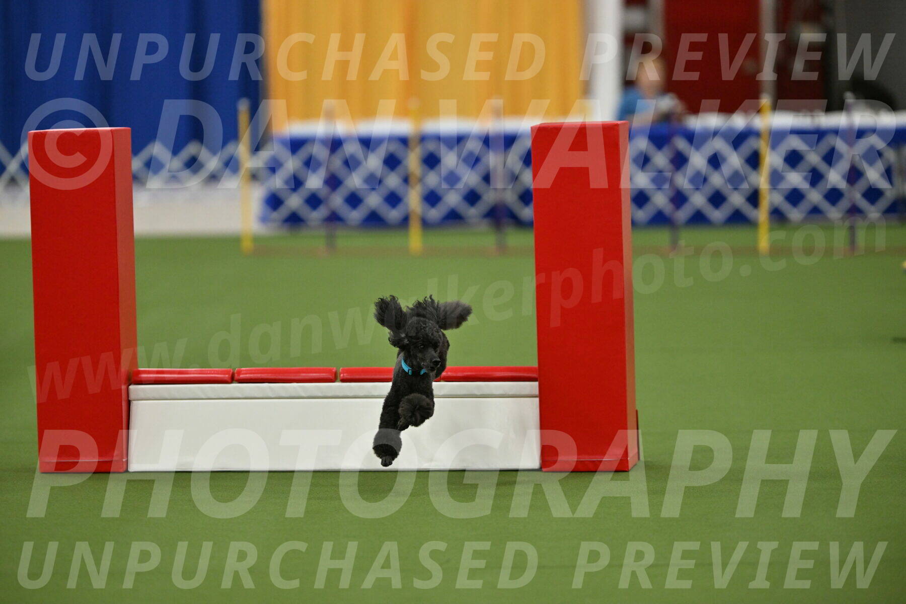 MAS-EX-STD-16-Inch_6423