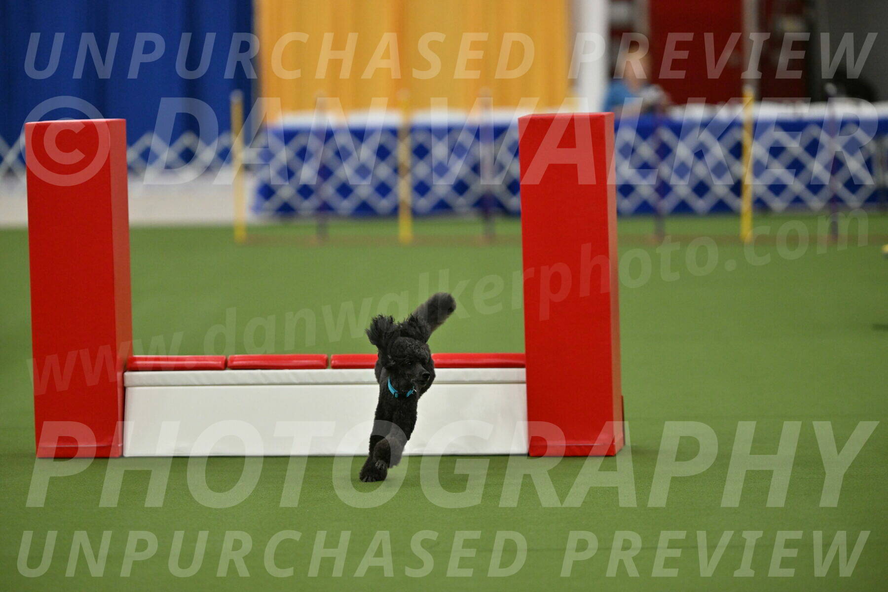 MAS-EX-STD-16-Inch_6424