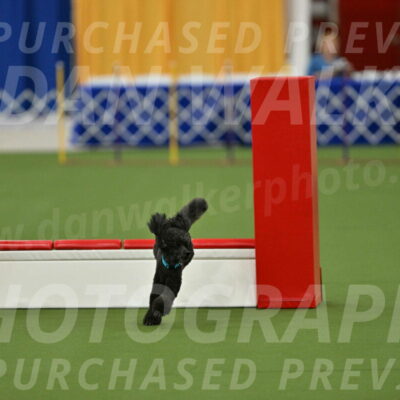 MAS-EX-STD-16-Inch_6424