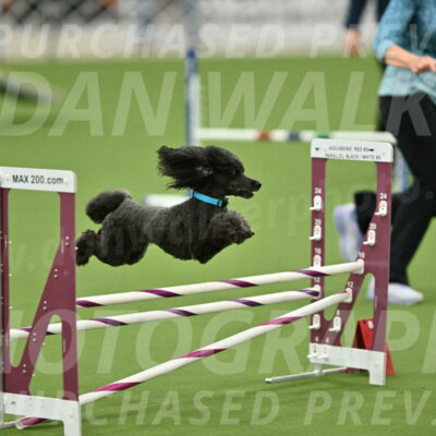 MAS-EX-STD-16-Inch_6431