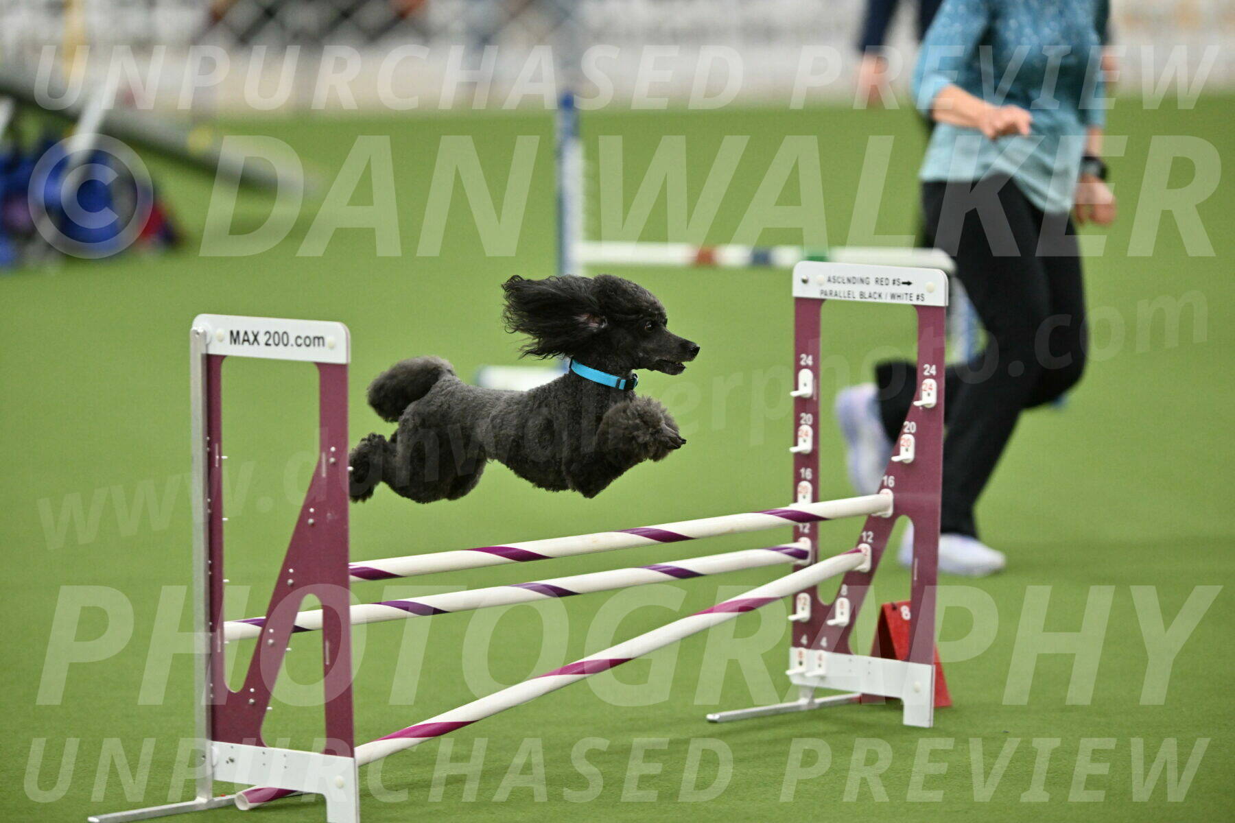 MAS-EX-STD-16-Inch_6431