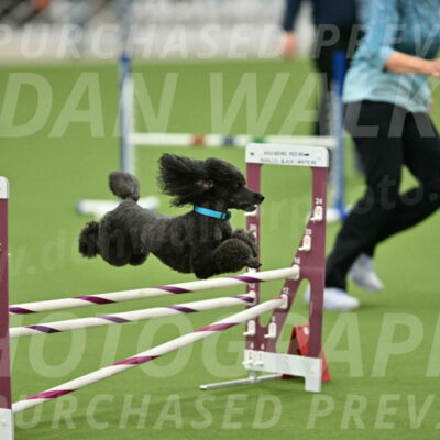 MAS-EX-STD-16-Inch_6432