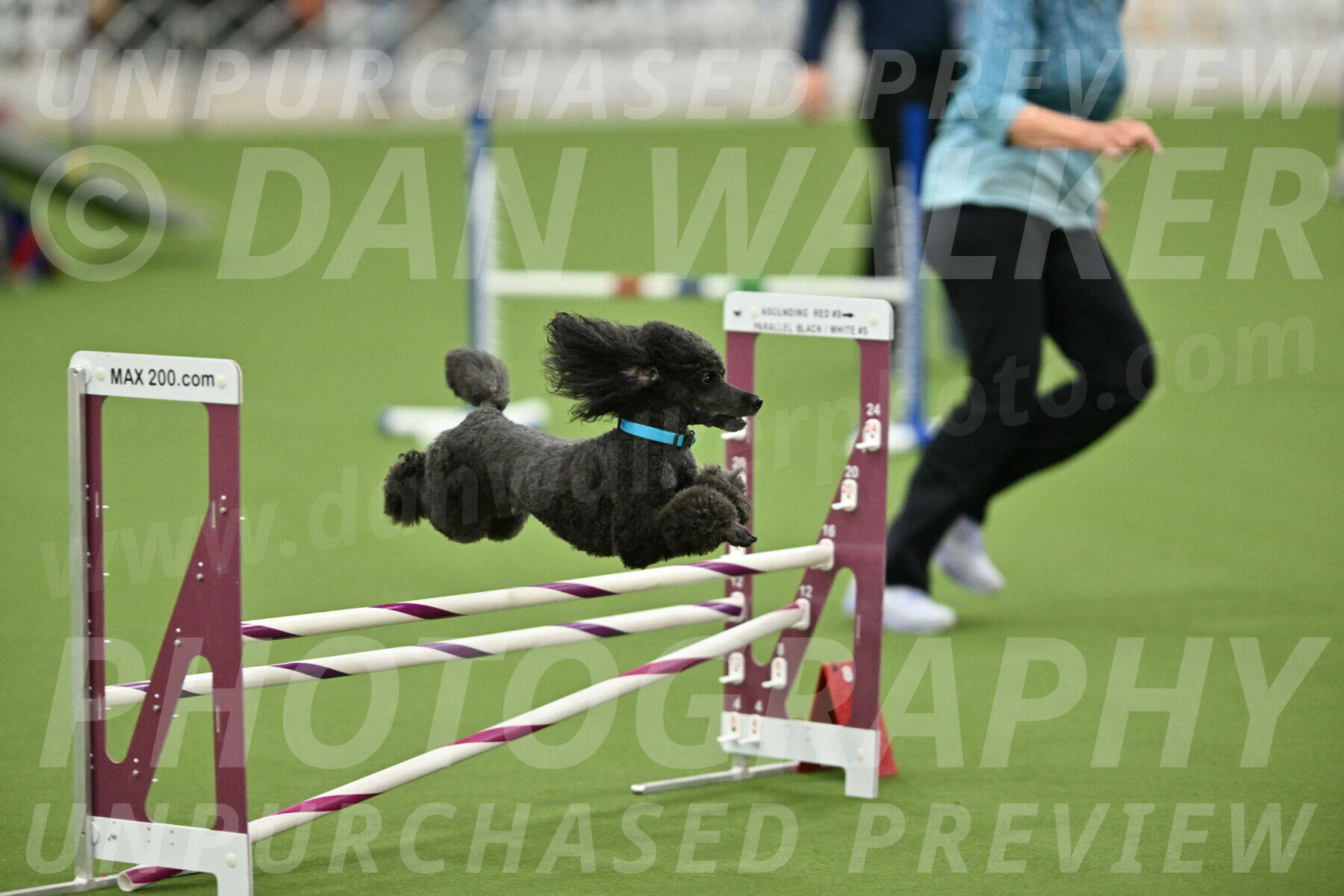 MAS-EX-STD-16-Inch_6432