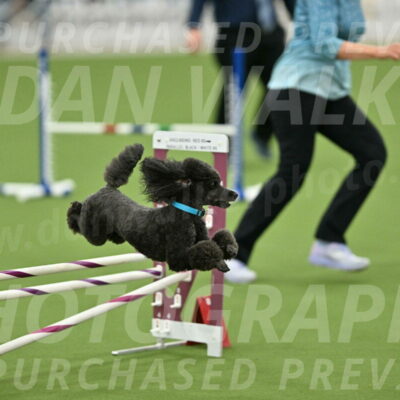 MAS-EX-STD-16-Inch_6433