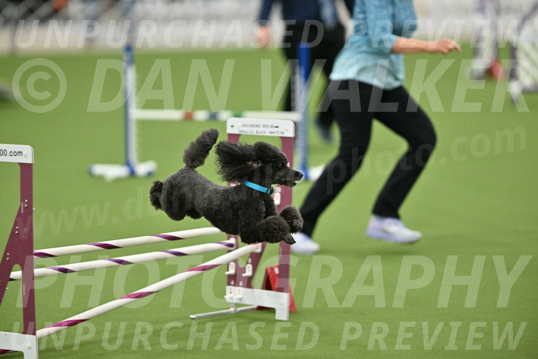 MAS-EX-STD-16-Inch_6433