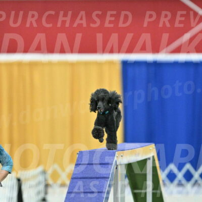 MAS-EX-STD-16-Inch_6435