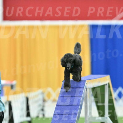 MAS-EX-STD-16-Inch_6439