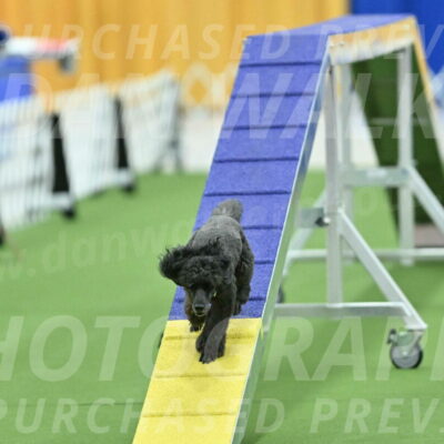 MAS-EX-STD-16-Inch_6446