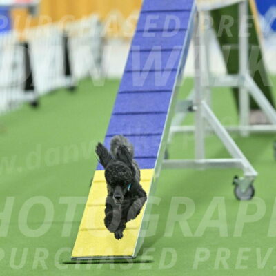 MAS-EX-STD-16-Inch_6448