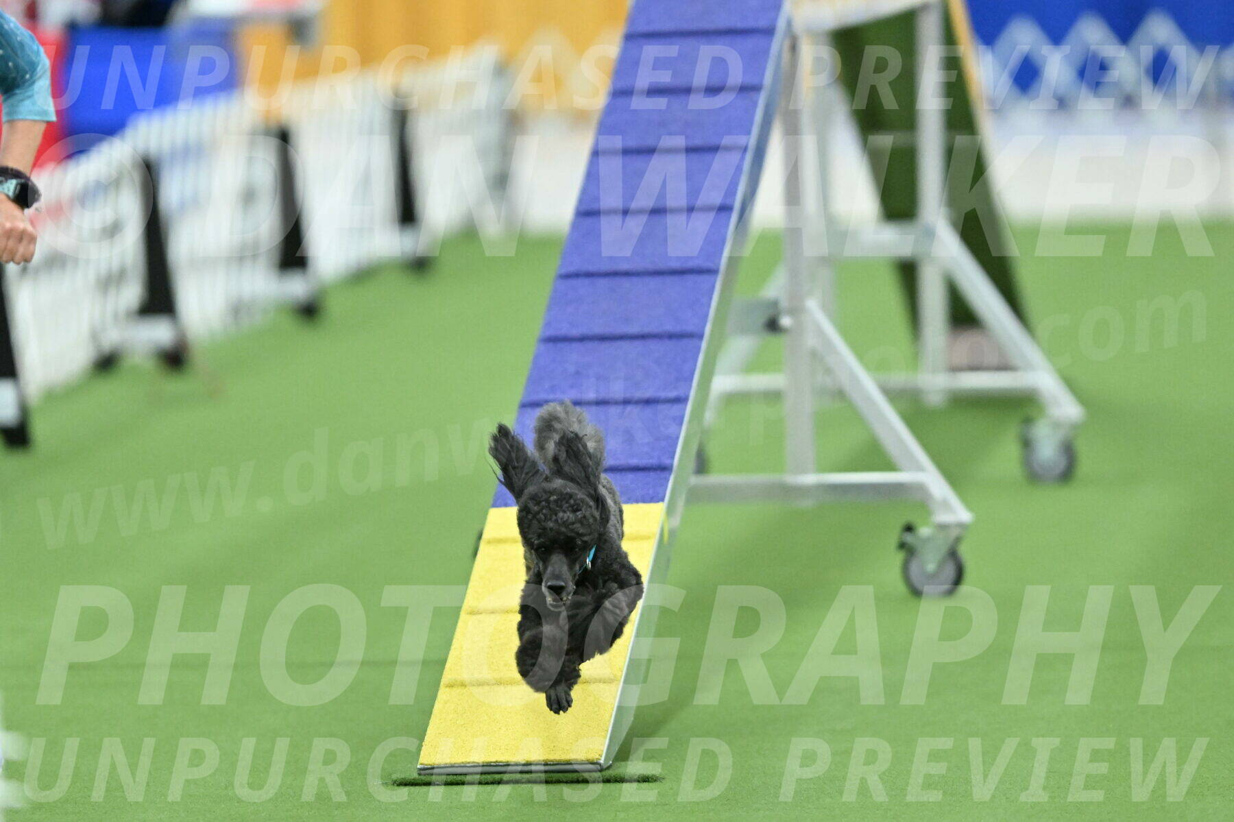 MAS-EX-STD-16-Inch_6448