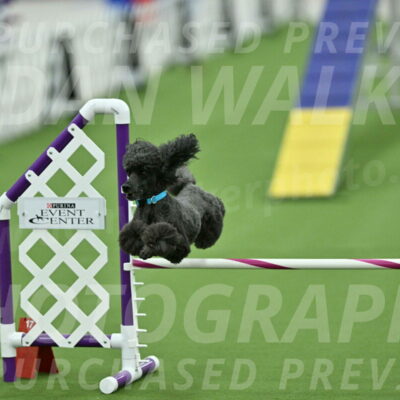 MAS-EX-STD-16-Inch_6458