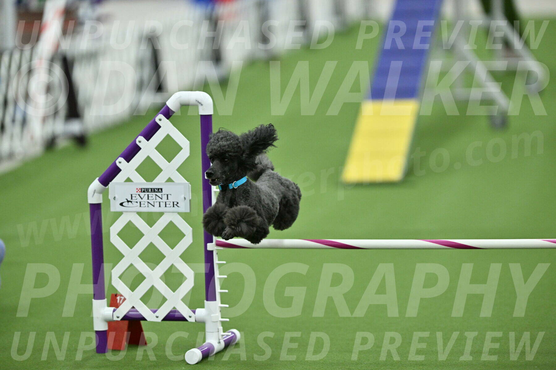 MAS-EX-STD-16-Inch_6458