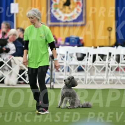 MAS-EX-STD-16-Inch_6459