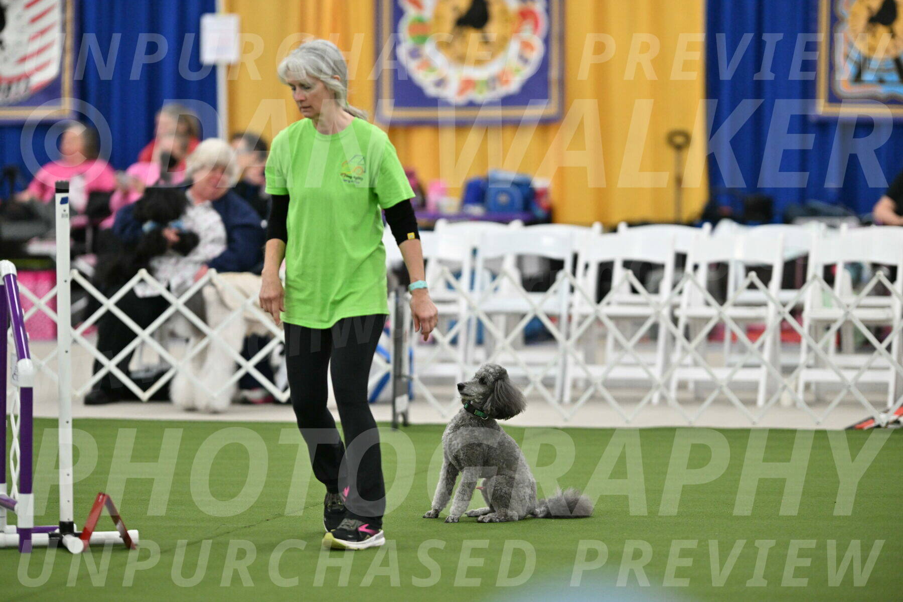 MAS-EX-STD-16-Inch_6459