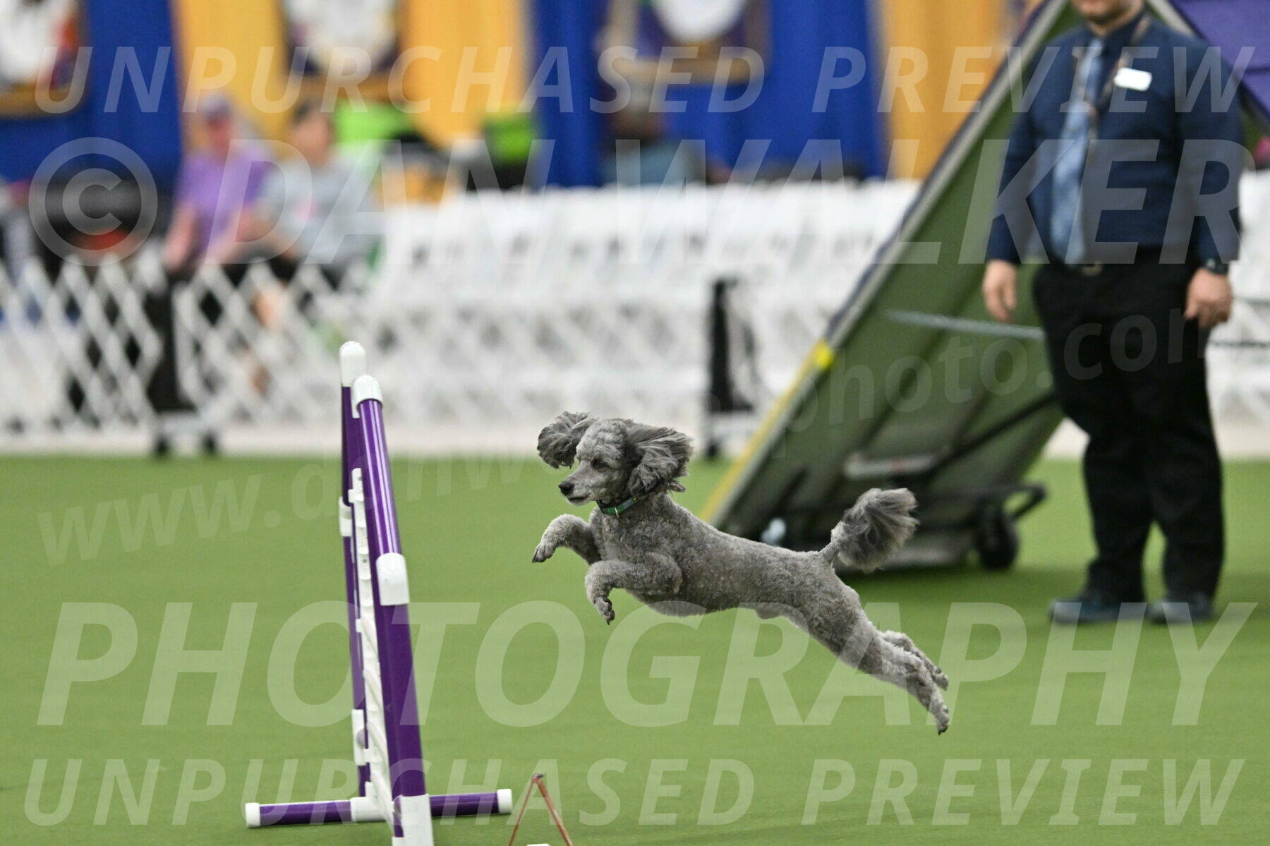 MAS-EX-STD-16-Inch_6467