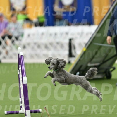 MAS-EX-STD-16-Inch_6467