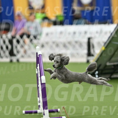 MAS-EX-STD-16-Inch_6468