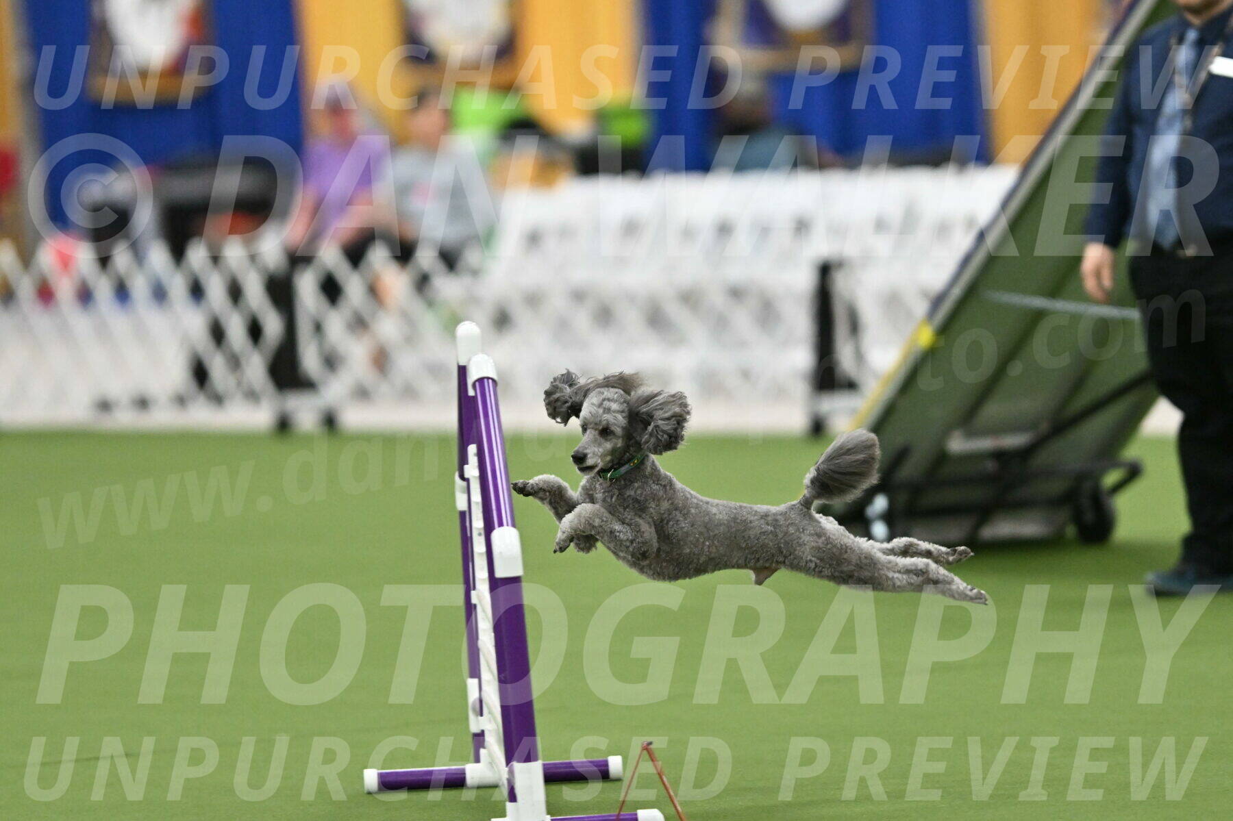 MAS-EX-STD-16-Inch_6468