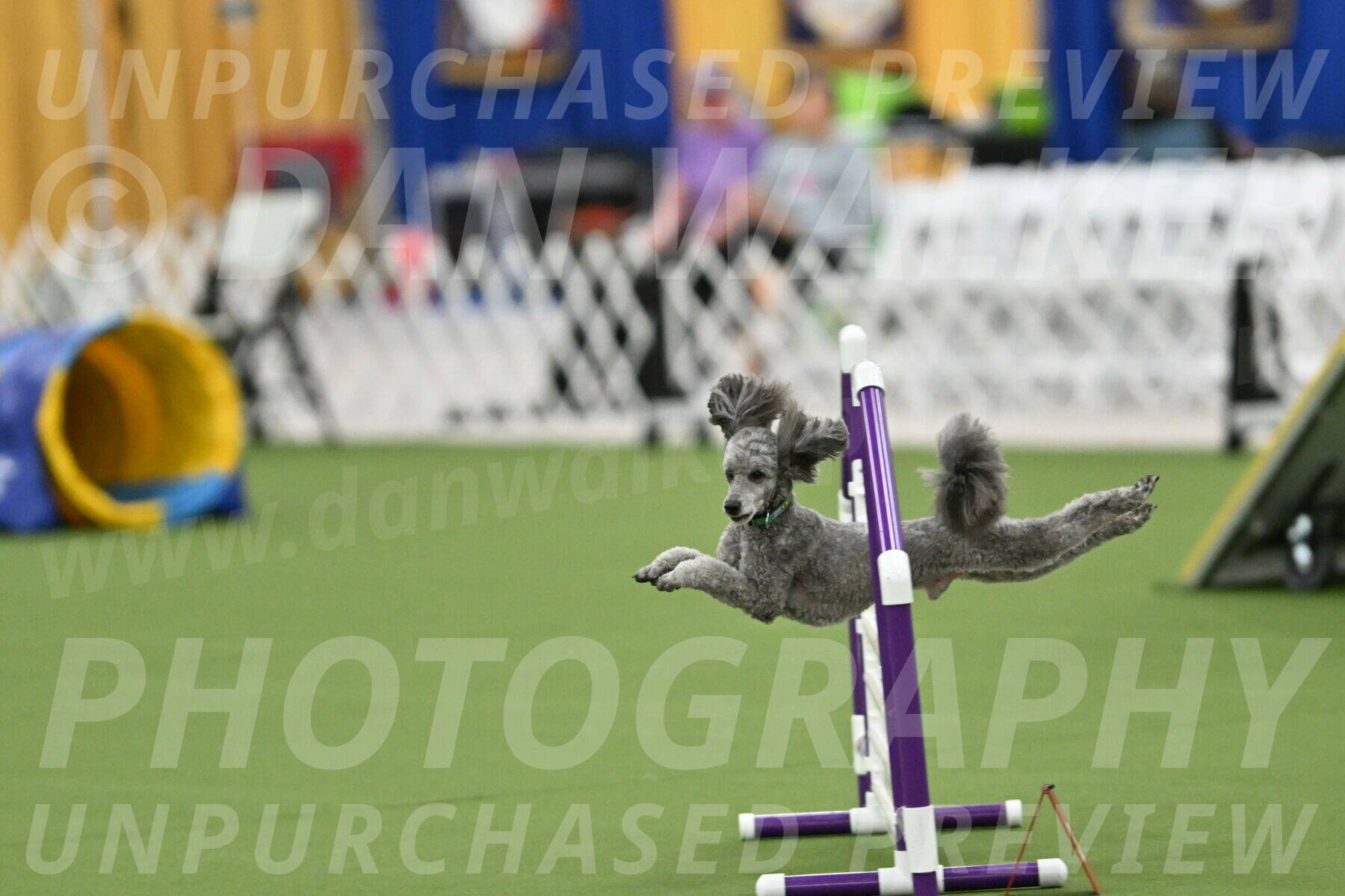 MAS-EX-STD-16-Inch_6470