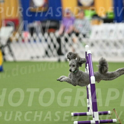 MAS-EX-STD-16-Inch_6470