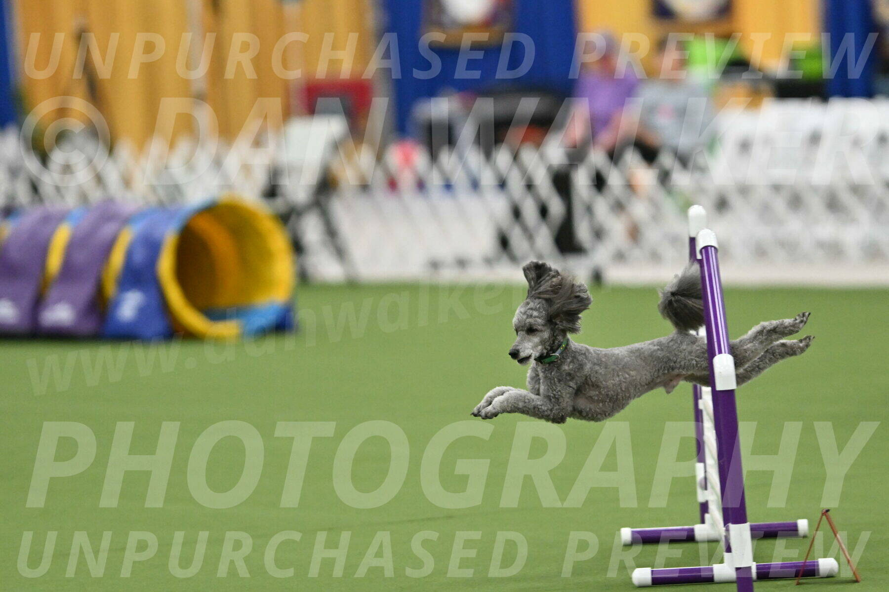 MAS-EX-STD-16-Inch_6471