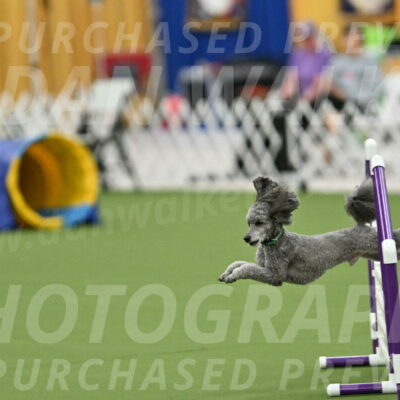 MAS-EX-STD-16-Inch_6471