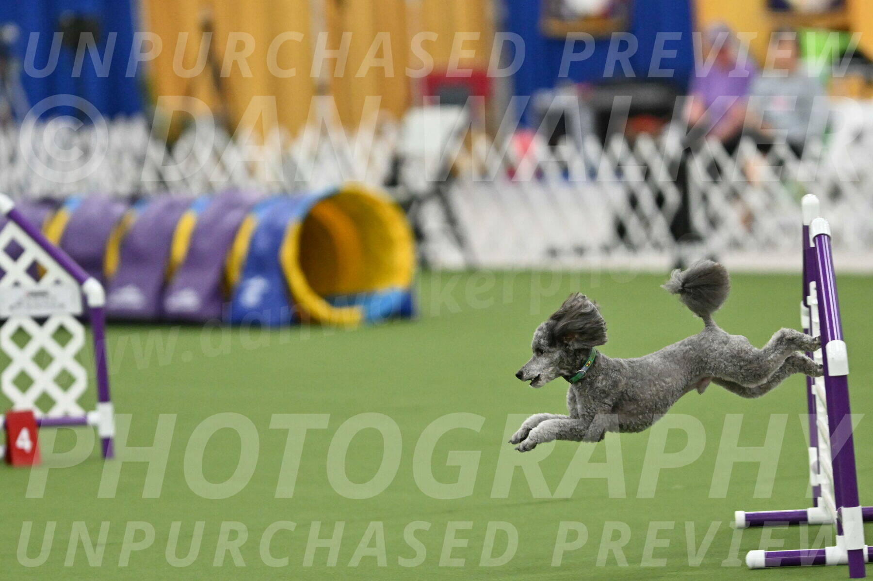 MAS-EX-STD-16-Inch_6472