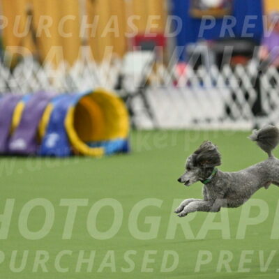 MAS-EX-STD-16-Inch_6472